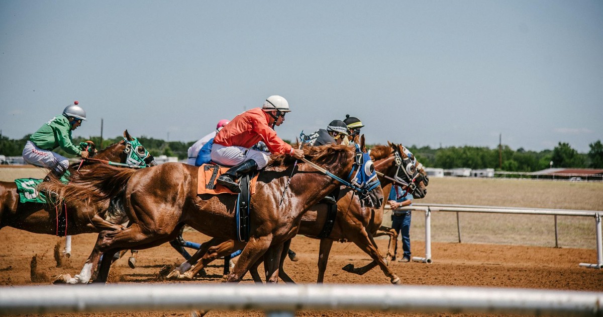 Willie Mullins’ Historic Hat-Trick: I Am Maximus Powers to Third Straight Grand National Triumph