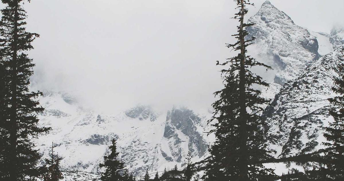 Vicente & Klarer Sink Wrexham: Birmingham's Dominance Dashes Promotion Dreams