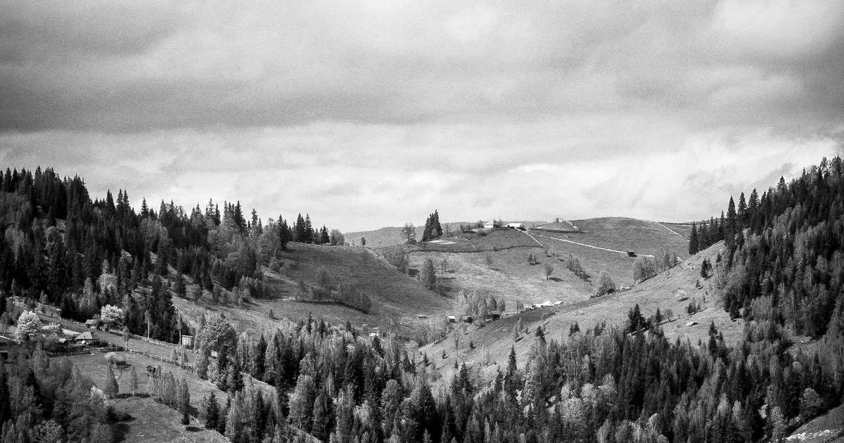 Wigan Survive Wakefield Scare, Book Saints Showdown in Challenge Cup Semis