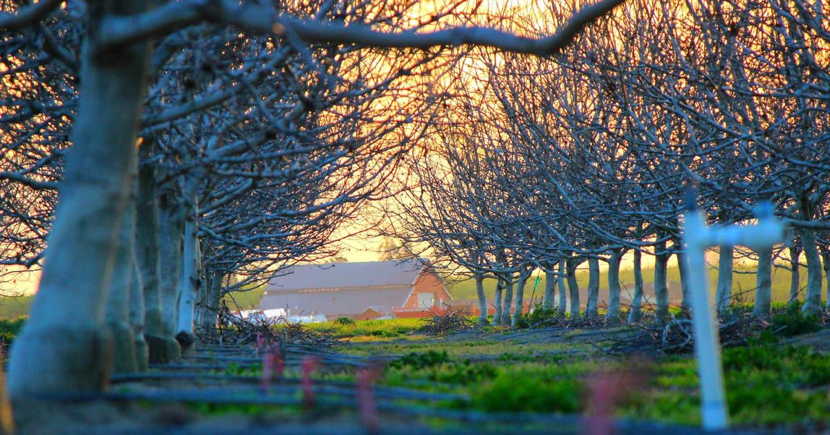 Premier League's Gambling Sponsor Ban Exposes Football's Toxic Addiction to Easy Money