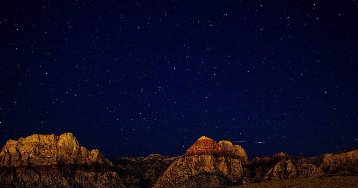 Mateta's Late Double Sinks Spiraling Newcastle in Selhurst Stunner