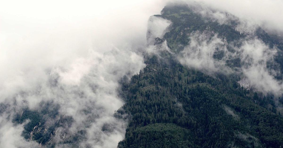 Baseball's Base Running Analytics: How Statcast Data Is Revolutionizing Steal Attempts, Extra Bases,