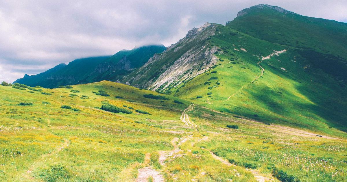 Basketball's Rebounding Revolution: How Advanced Tracking Data Is Transforming Offensive and Defensi