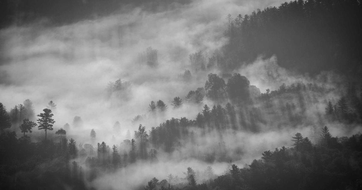 Willie Mullins' Historic Hat-Trick: I Am Maximus Powers to Third Straight Grand National Triumph