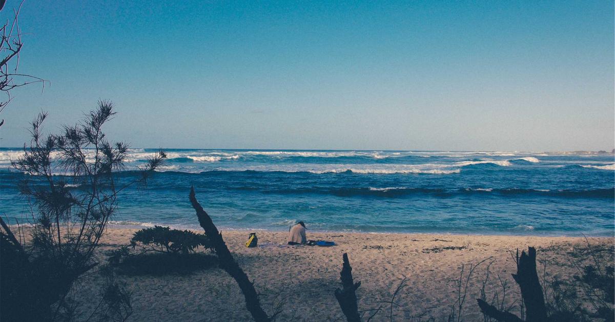 Olympic Marathon Preparation: Analyzing Altitude Training, Nutrition Strategies, and Performance Dat