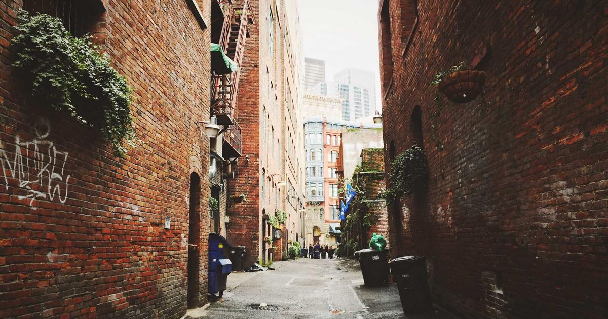 Olympic Swimming Tech: How Biomechanical Analysis and Performance Data Are Revolutionizing Stroke Efficiency and Race Strategy